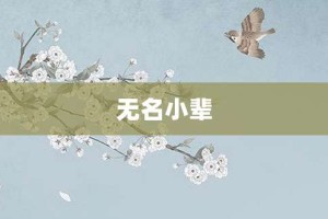 无名小辈【无名小辈的意思】- 成语大全