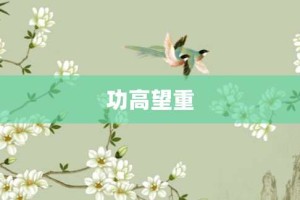 功高望重【功高望重的意思】- 成语大全
