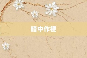 暗中作梗【暗中作梗的意思】- 成语大全