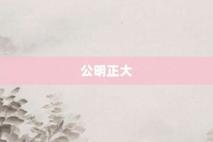 公明正大【公明正大的意思】- 成语大全