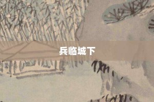 兵临城下【兵临城下的意思】- 成语大全