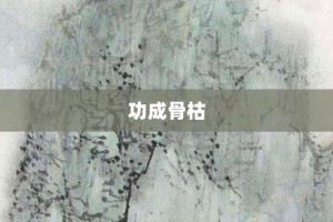 功成骨枯【功成骨枯的意思】- 成语大全