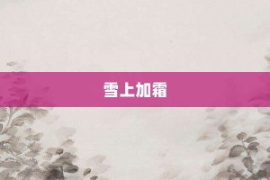 雪上加霜【雪上加霜的意思】- 成语大全