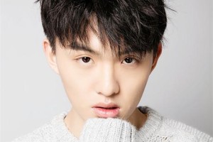 郑伟【中国内地男演员】 – 人物百科