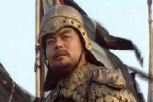 在曹魏为众多武将中，夏侯渊的实力如何？_三国历史 菊江历史网