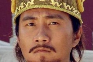 揭秘：朱棣真的找了建文帝16年吗？_明朝历史 菊江历史网