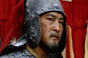 姜维作为蜀汉中后期的力量 姜维的能力实际上是什么样的_三国历史 菊江历史网