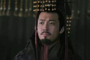 三国时期打败仗那么多 合肥之战孙权为何遭人耻笑_古代战争 菊江历史网