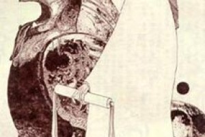 拓跋寔君简介_拓跋寔君的儿子_拓跋寔君的故事_拓跋寔君怎么死的 菊江历史网