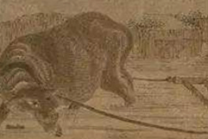 商鞅燔诗书以明法令具体是什么情况？_春秋战国历史 菊江历史网