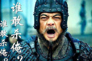 如果魏延不死，魏延对战司马懿蜀汉能有多少胜算？_乡村野史 菊江历史网