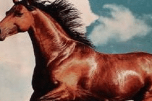 汉武帝远征大宛有什么意义？不光是为了宝马_汉朝历史 菊江历史网