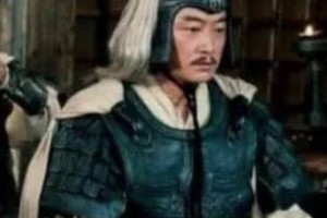 陆逊的妻子如花似玉，曹操却看上了人家的岳母_乡村野史 菊江历史网