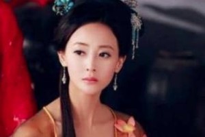 荆国大长公主：宋太宗的爱女，新婚之夜驸马却看上乳娘？_后宫秘史 菊江历史网