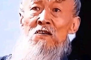 王司徒和诸葛亮对话头头是道 王司徒最后为何还是输了_三国历史 菊江历史网