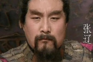 张辽深受曹操器重的原因有哪些？_三国历史 菊江历史网