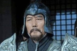 三国时期势力割据，到底是谁在戍守边关呢?_三国历史 菊江历史网