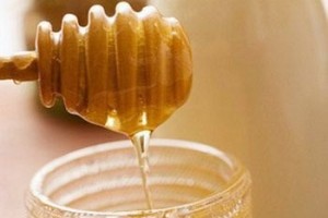 荆芥生姜粥 可以治感冒_饮食文化 菊江历史网