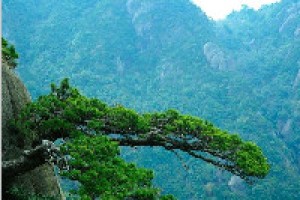 江西三清山有什么风景？江西三清山的地理景观_民间艺术 菊江历史网