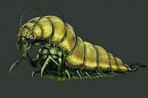 湘西蛊术是怎么来的？湘西十大蛊术分别是什么？_稗官野史 菊江历史网