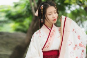 怎么分辨旗袍和汉服？各国人眼中的旗袍和汉服_民俗文化 菊江历史网