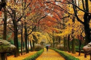 康熙为什么会对朱元璋的陵墓行跪拜大礼？_清朝历史 菊江历史网