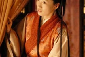 袭人【宝玉四个大丫鬟之首】 – 人物百科