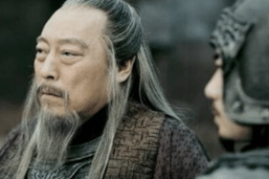 司马懿被夺了军权，为何还能兵变成功呢？_三国历史 菊江历史网