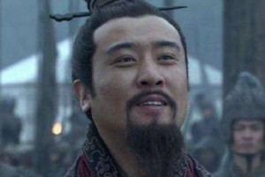 刘备病逝于白帝城，曹魏中有一大臣为何闷闷不乐？_稗官野史 菊江历史网