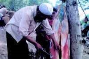 撒拉族饮食概况_饮食文化 菊江历史网