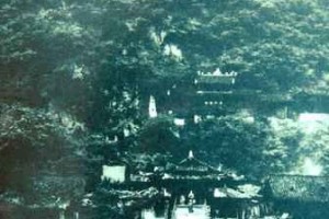 千年茶马古道上的人生“背”歌 茶马古道上的故事_饮食文化 菊江历史网