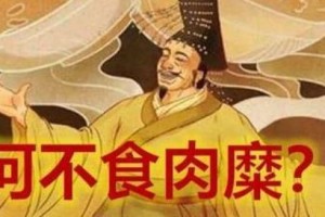 贾南风为何会引发了“八王之乱”？_晋朝历史 菊江历史网