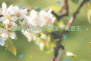杨茂搜【前仇池国第一任君主】 – 人物百科